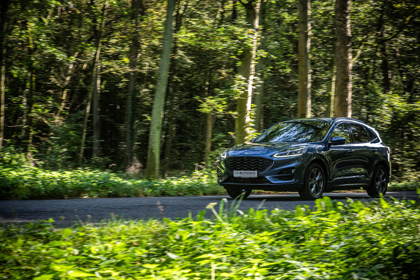 Ford Fahrzeug bei DB Autohaus Schweinfurt